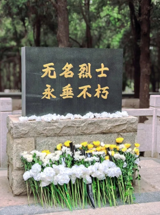 1ac9fe15a2d9916026bb3602164ab0cd.png